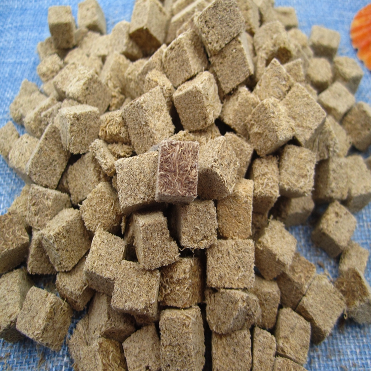 Brine shrimp block fish feed